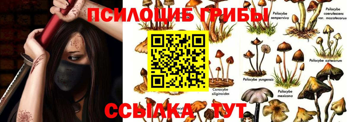 Псилоцибиновые грибы GOLDEN TEACHER Архангельск
