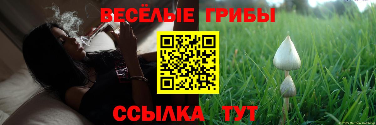 как найти закладки  Вход с VPN  Архангельск  Псилоцибиновые грибы Magic Shrooms 